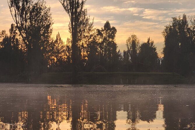 Private Kayak tour through the canals of Xochimilco - Authentic Experiences and Unique Insights