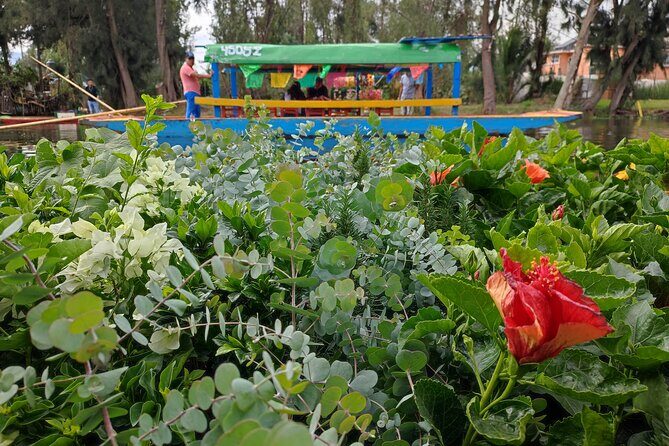 Private kayaks tour in Xochimilco & Cuicuilco pyramid - FAQ