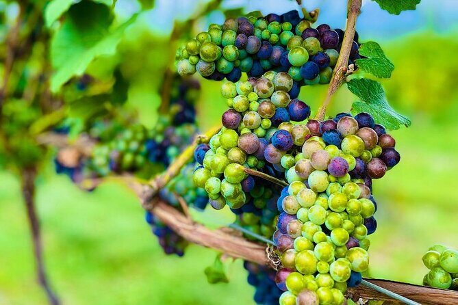 Private Kelowna Sip Tour - Good To Know