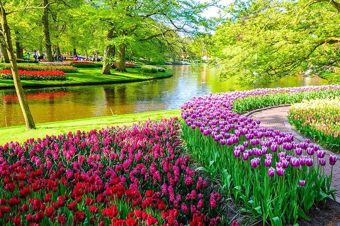 Private Keukenhof Tulip Fields & Flowers Sightseeing Tour From Amsterdam - Tour Details