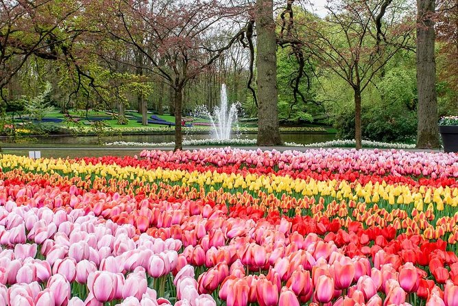Private Keukenhof Tulip Fields & Flowers Sightseeing Tour From Amsterdam - Pricing