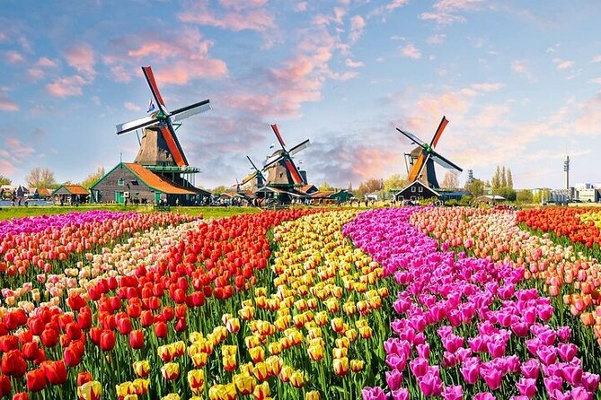 Private Keukenhof Tulip Fields & Flowers Sightseeing Tour From Rotterdam - Admission Ticket Not Included