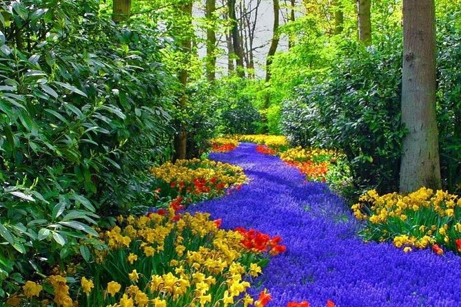 Private Keukenhof Tulip Fields & Flowers Sightseeing Tour From Rotterdam - Pricing and Terms