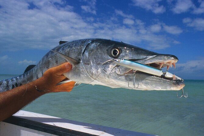 Private Key West Fishing & Sandbar or Snorkel Charter - Exploring the Private Key West Fishing & Sandbar or Snorkel Charter
