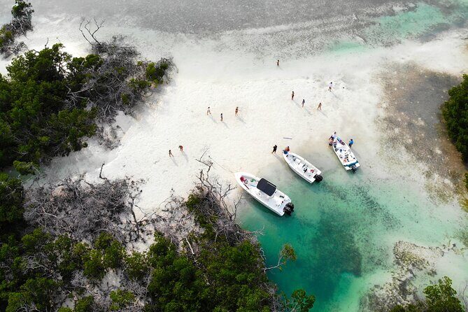 Private Key West Fishing & Sandbar or Snorkel Charter - Why Choose This Tour?