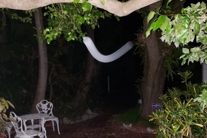 PRIVATE Key West Haunted History Walking Tour - Traveler Photos