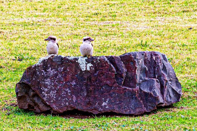 Private Kiama, Kangaroo Valley & Southern Highlands Escape - FAQ