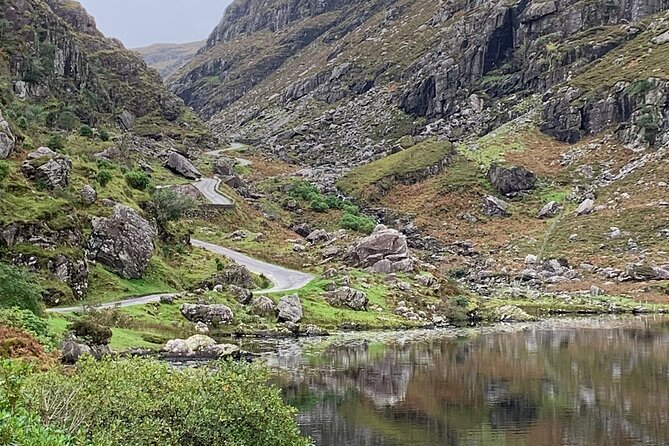 Private Killarney National Park Tour With an Accredited Chauffeur/Guide - Inclusions