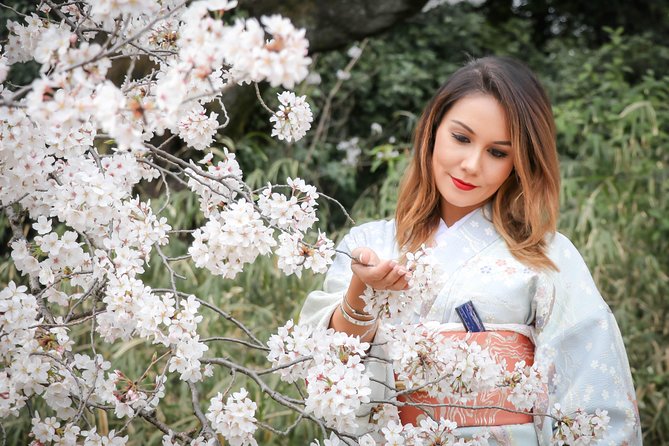 Private Kimono Photo Tour in Tokyo - Reviews