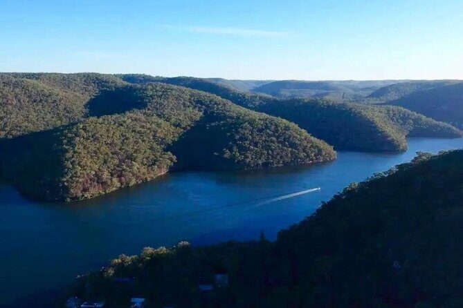 Private Koala Park Sanctuary Minivan Tour Sydney - Good To Know