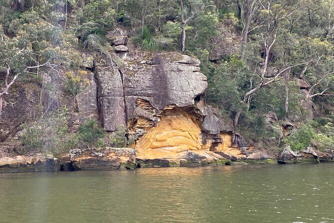 Private Koala Park Sanctuary Minivan Tour Sydney - Who This Tour Is Best For