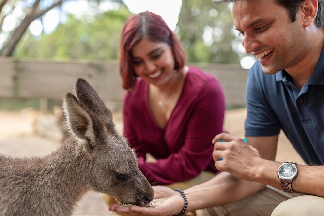 Private Koala Park Sanctuary Minivan Tour Sydney - FAQ