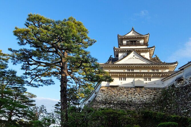 Private Kochi Shore Excursion - Transportation and Practicalities