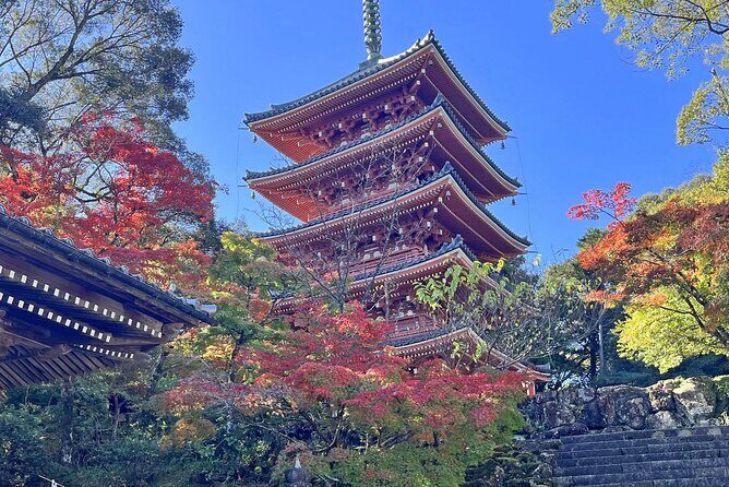 Private Kochi Shore Excursion - Final Thoughts