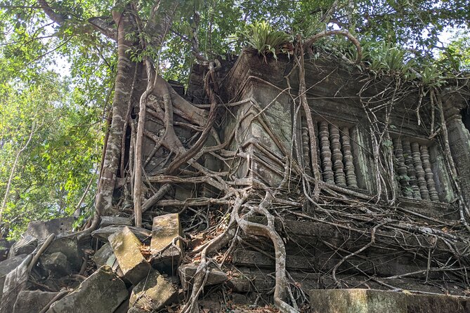Private Koh Ker & Beng Mealea Tour - Reviews