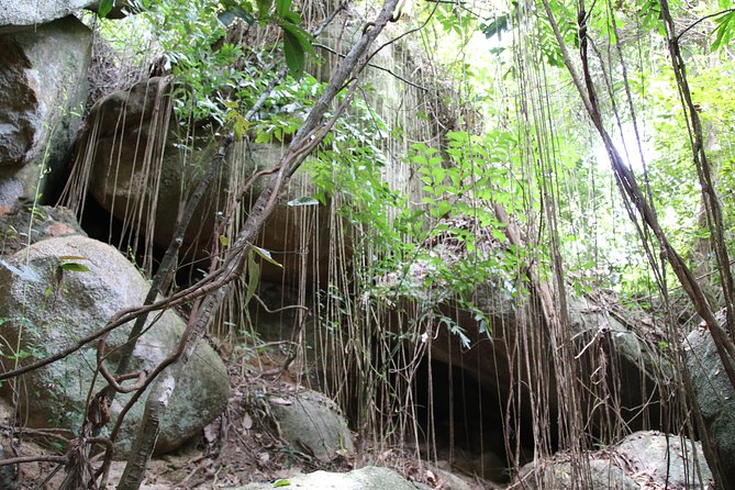 Private Koh Phangan Land Tour - Reviews