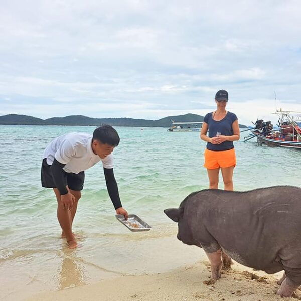 PRIVATE KOH SAMUI TOURS - SECRET ISLANDS BOAT TRIP - Wildlife Encounters