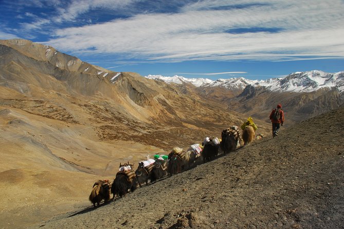 Private Kollywood Tour of Nepal - Overview and Experience