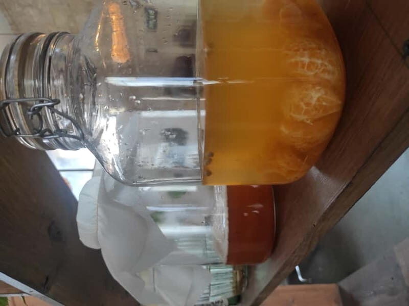 Private Kombucha Making Workshop in Cyprus - Exploring the Experience in Detail