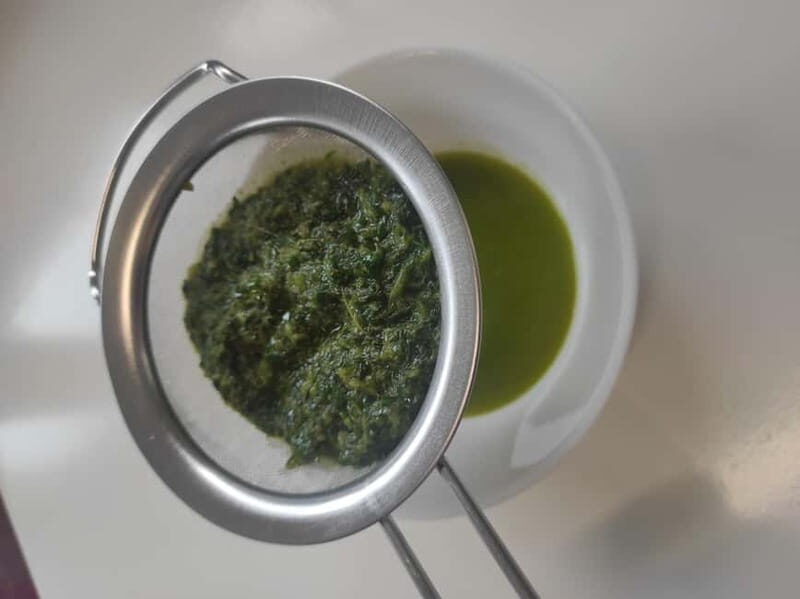 Private Kombucha Making Workshop in Cyprus - The Sum Up