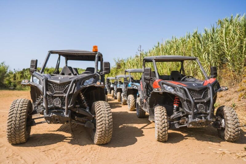 Private Korcula Buggy Safari With Wine Tasting - Why This Tour Offers Excellent Value