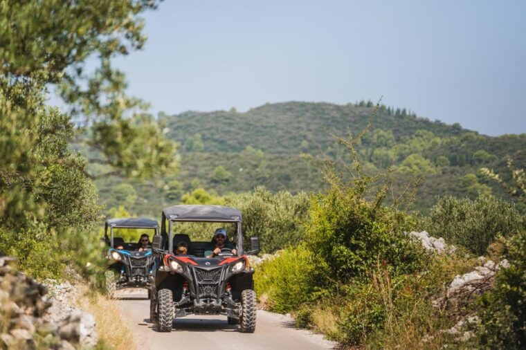 Private Korcula Buggy Safari With Wine Tasting - The Experience from Reviews: Authentic Insights