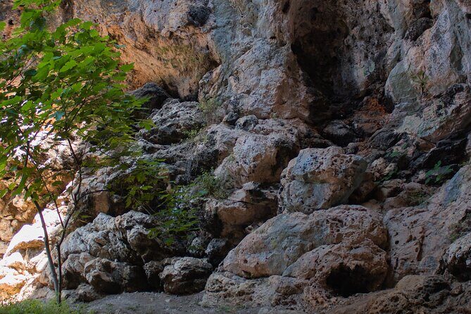 Private Korcula Eco Tour with Guide - Why This Tour Offers Great Value