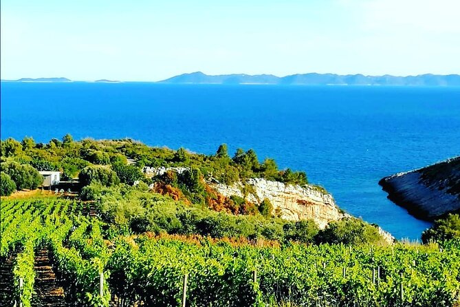 Private Korcula Wine Tour and Tasting - Customer Reviews
