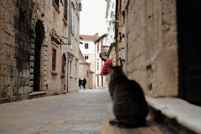 Private Kotor and Perast Tour - Baroque Charm of Montenegro - Booking Information
