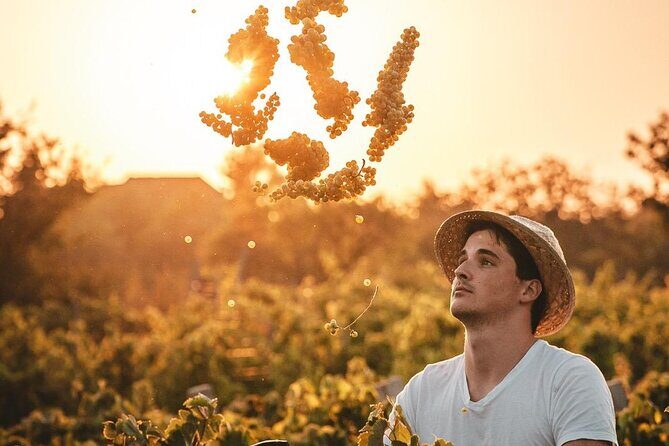 Private Krka Waterfalls Tour with Wine Tasting - An In-Depth Look at the Tour Itinerary