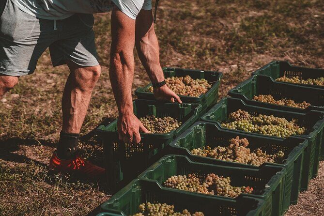 Private Krka Waterfalls Tour with Wine Tasting - FAQ