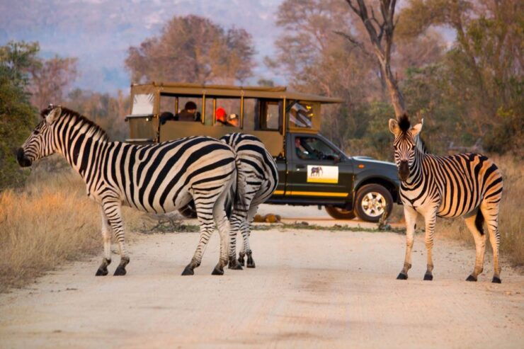 Private Kruger Full Day Safari From Hazyview - Tour Details