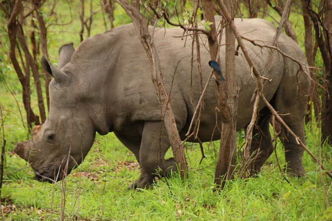 Private Kruger Park Safari and Panorama Route - Reviews From Previous Guests