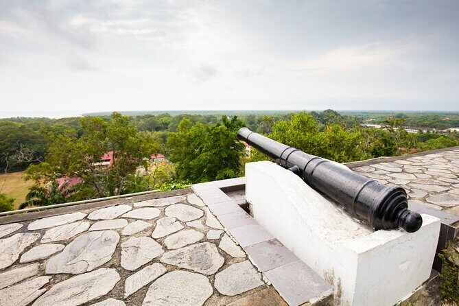 Private Kuala Selangor Firefly Day Trip from Kuala Lumpur - Authentic Insights from Past Travelers