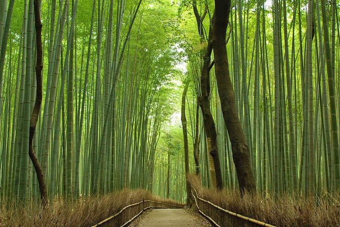 Private Kyoto Arashiyama Custom Half-Day Tour by Chartered Vehicle - Select Date and Travelers