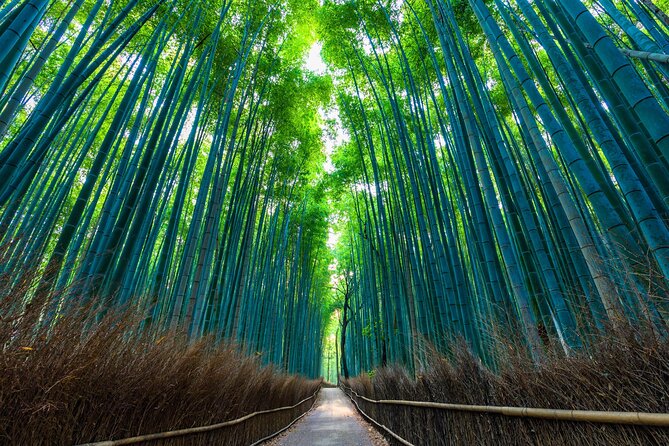 Private Kyoto Day Trip With English Speaking Driver - Cancellation Policy and Refunds