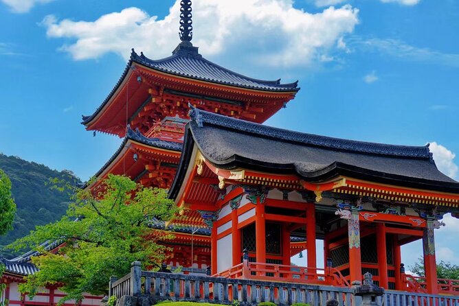 Private Kyoto Full Day Tour With Driver and Car From Osaka - Pricing Details and Terms & Conditions
