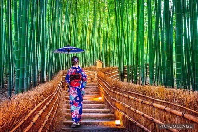 Private Kyoto-Nara Tour from Osaka with Hotel Pickup and Drop off - Exploring the Itinerary in Detail