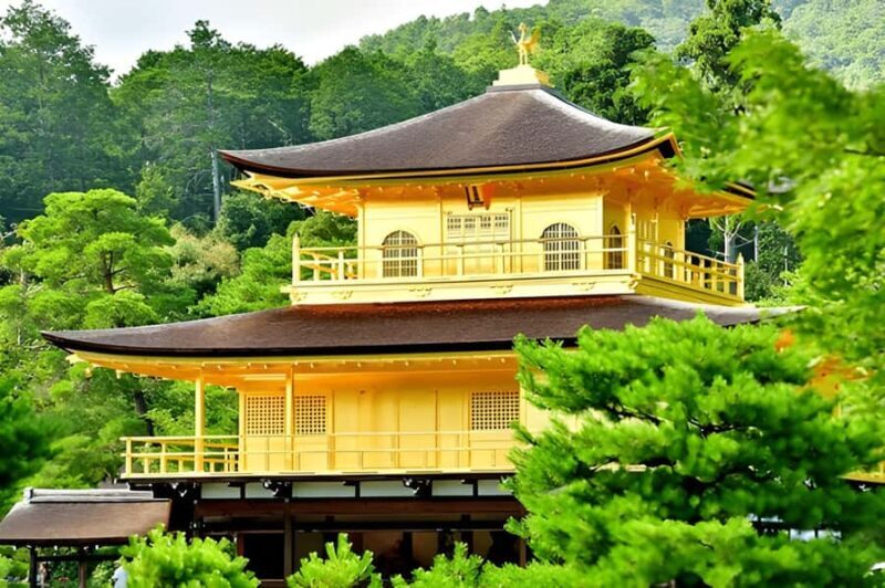 Private Kyoto Sightseeing Tour (Green Number Plates) - Discover Kyoto with a Private Touch