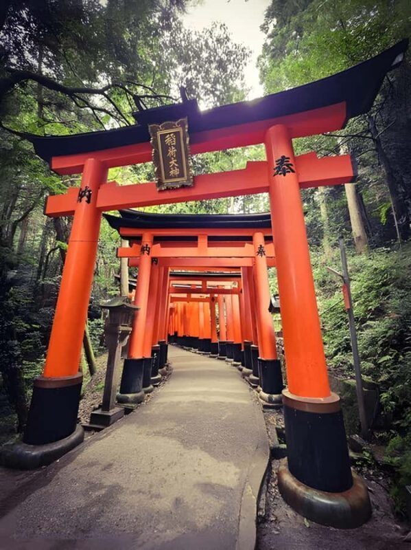 Private Kyoto Sightseeing Tour (Green Number Plates) - Why Choose This Tour?