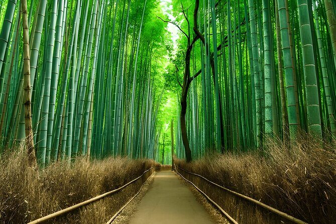 Private Kyoto Sightseeing Tour with Licensed Green-Plate Vehicle - A Deep Dive into the Kyoto Private Tour