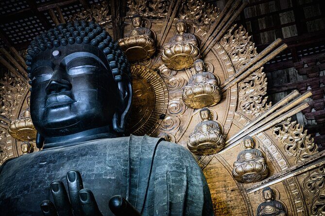 Private Kyoto Tour by Car with Optional Nara or Osaka Add-Ons - Who Should Book This Tour?