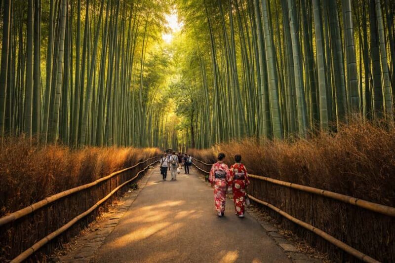 Private kyoto Tour with English speaking guide and vehicle - What Sets This Tour Apart