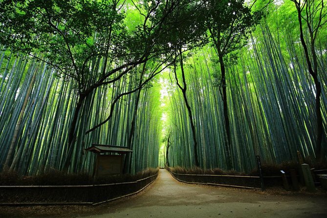 Private Kyoto Tour With Hotel Pickup and Drop off From Osaka - Exploring Kyotos Top Attractions