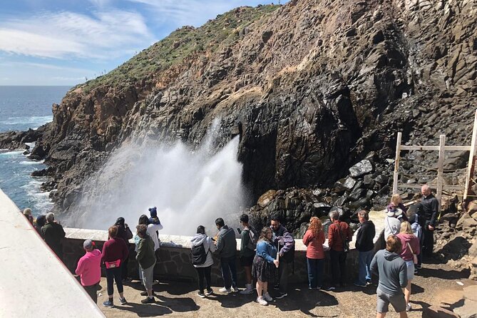 Private La Bufadora Tour (blowhole) - Pricing and Ownership Information