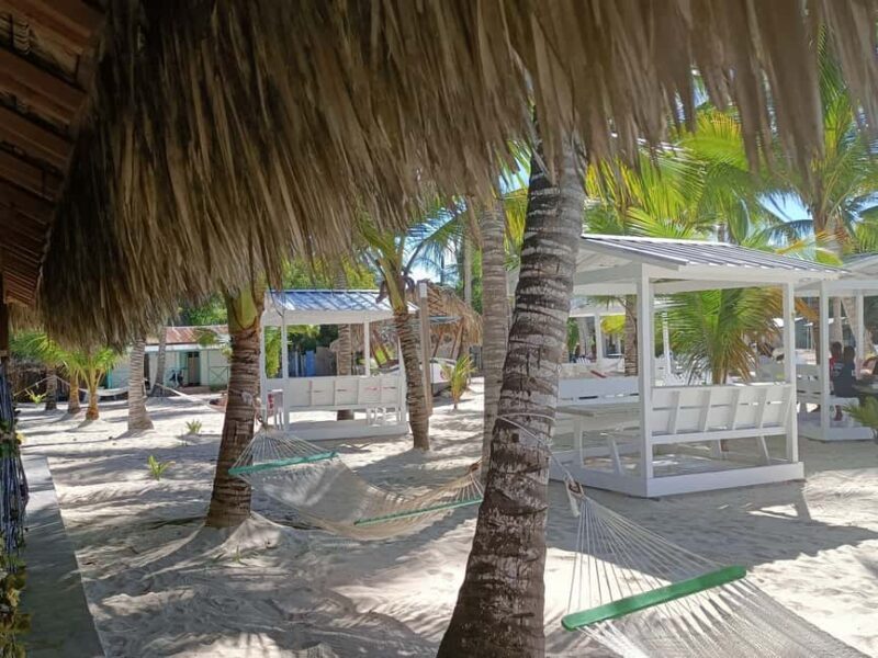 Private: La Romana, Catalina Island Snorkeling & Beach Trip - Final Thoughts