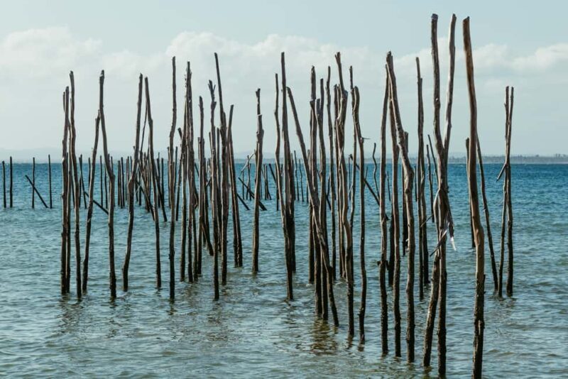 Private: Lago Enriquillo Boat & Wildlife Discovery Tour - Exploring the Lago Enriquillo Boat & Wildlife Discovery Tour: An In-Depth Review