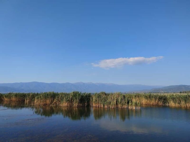 Private: Lago Enriquillo Boat & Wildlife Discovery Tour - Who Should Book This Tour?