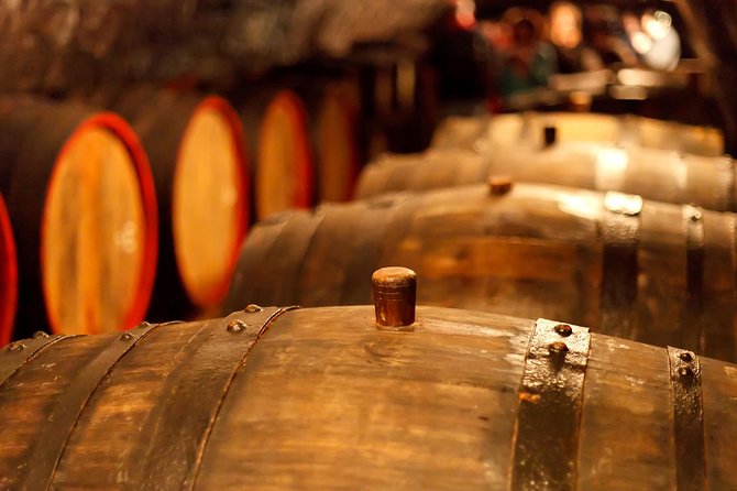 Private Lake Balaton Experience With an Unforgettable Wine Tasting - Tour Description