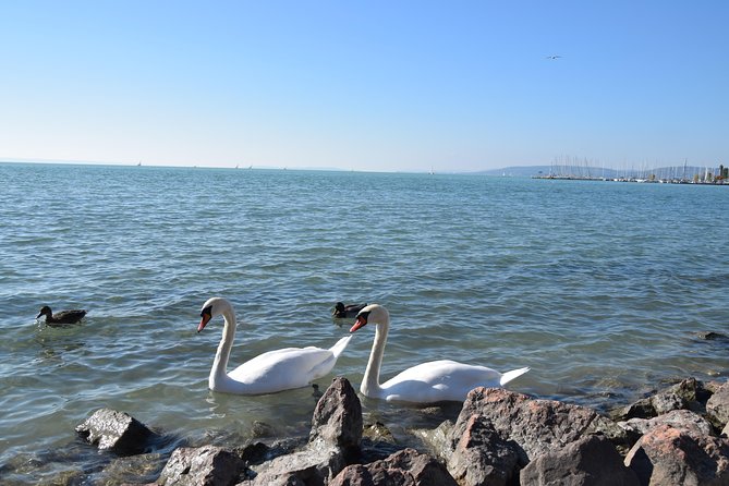 Private Lake Balaton Experience With an Unforgettable Wine Tasting - Frequently Asked Questions